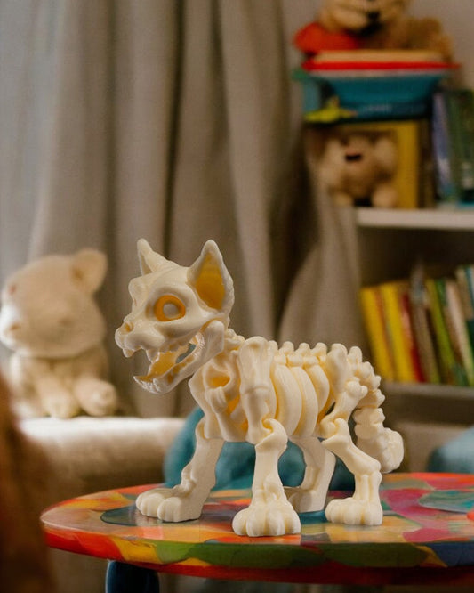 Animal Skeleton - Cat