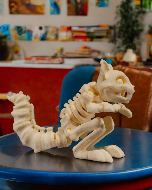 Animal Skeleton - Squirrel