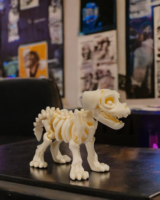 Animal Skeleton - Dog