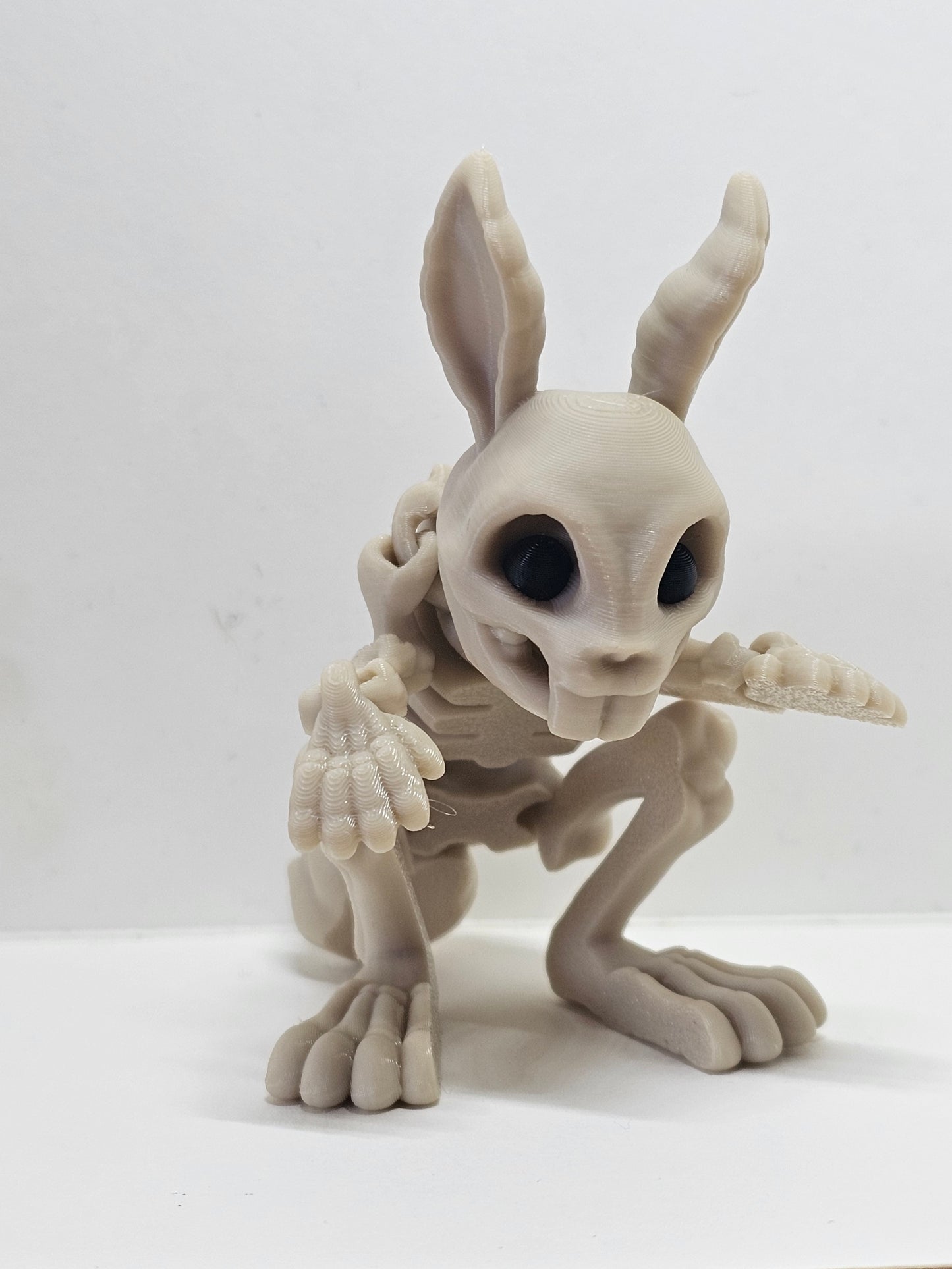 Animal Skeleton - Rabbit