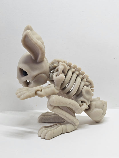 Animal Skeleton - Rabbit