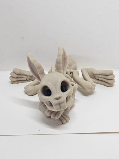 Animal Skeleton - Rabbit