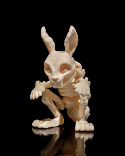 Animal Skeleton - Rabbit