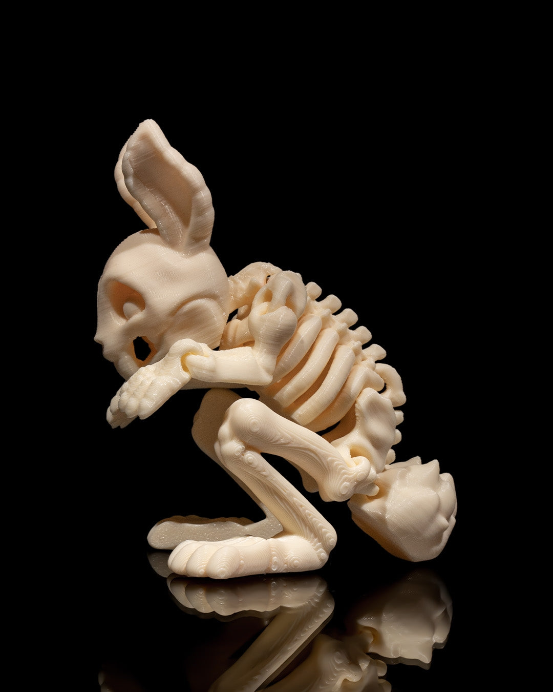 Animal Skeleton - Rabbit