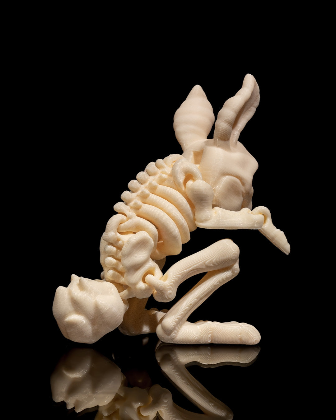 Animal Skeleton - Rabbit