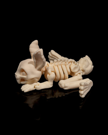 Animal Skeleton - Rabbit